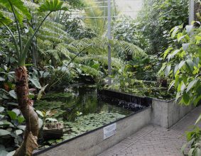 Botanical Gardens