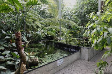 Botanical Gardens