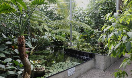 Botanical Gardens
