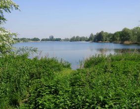 Maarsseveense Plassen