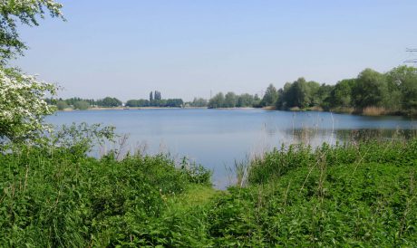 Maarsseveense Plassen