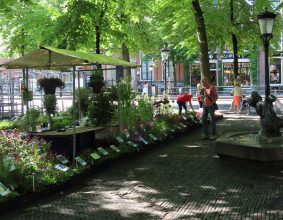 Janskerkhof