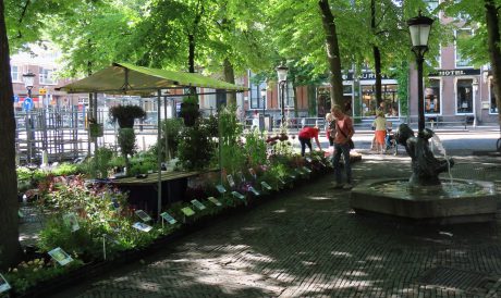 Janskerkhof
