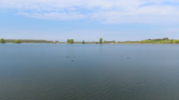 haarijnse plas