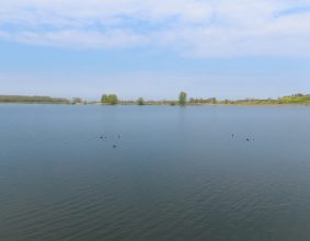 Haarrijnseplas