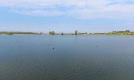 Haarrijnseplas